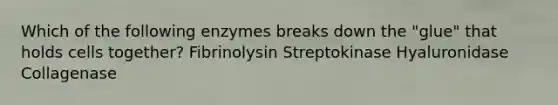 Which of the following enzymes breaks down the "glue" that holds cells together? Fibrinolysin Streptokinase Hyaluronidase Collagenase