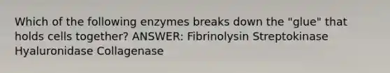 Which of the following enzymes breaks down the "glue" that holds cells together? ANSWER: Fibrinolysin Streptokinase Hyaluronidase Collagenase