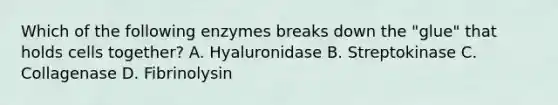 Which of the following enzymes breaks down the "glue" that holds cells together? A. Hyaluronidase B. Streptokinase C. Collagenase D. Fibrinolysin