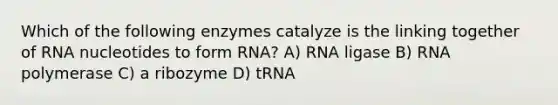 Which of the following enzymes catalyze is the linking together of RNA nucleotides to form RNA? A) RNA ligase B) RNA polymerase C) a ribozyme D) tRNA