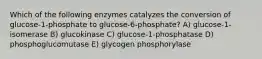 Which of the following enzymes catalyzes the conversion of glucose-1-phosphate to glucose-6-phosphate? A) glucose-1-isomerase B) glucokinase C) glucose-1-phosphatase D) phosphoglucomutase E) glycogen phosphorylase