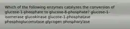 Which of the following enzymes catalyzes the conversion of glucose-1-phosphate to glucose-6-phosphate? glucose-1-isomerase glucokinase glucose-1-phosphatase phosphoglucomutase glycogen phosphorylase