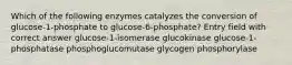 Which of the following enzymes catalyzes the conversion of glucose-1-phosphate to glucose-6-phosphate? Entry field with correct answer glucose-1-isomerase glucokinase glucose-1-phosphatase phosphoglucomutase glycogen phosphorylase