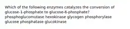 Which of the following enzymes catalyzes the conversion of glucose-1-phosphate to glucose-6-phosphate? phosphoglucomutase hexokinase glycogen phosphorylase glucose phosphatase glucokinase