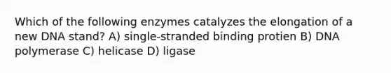 Which of the following enzymes catalyzes the elongation of a new DNA stand? A) single-stranded binding protien B) DNA polymerase C) helicase D) ligase