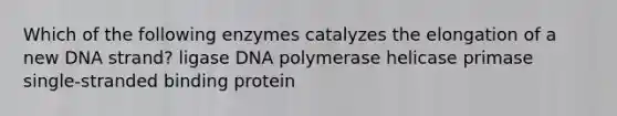 Which of the following enzymes catalyzes the elongation of a new DNA strand? ligase DNA polymerase helicase primase single-stranded binding protein