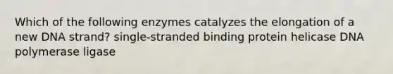 Which of the following enzymes catalyzes the elongation of a new DNA strand? single-stranded binding protein helicase DNA polymerase ligase