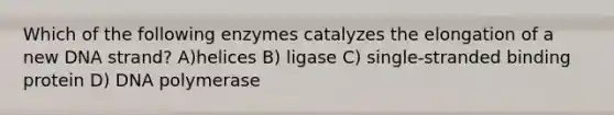 Which of the following enzymes catalyzes the elongation of a new DNA strand? A)helices B) ligase C) single-stranded binding protein D) DNA polymerase