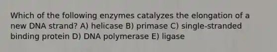 Which of the following enzymes catalyzes the elongation of a new DNA strand? A) helicase B) primase C) single-stranded binding protein D) DNA polymerase E) ligase