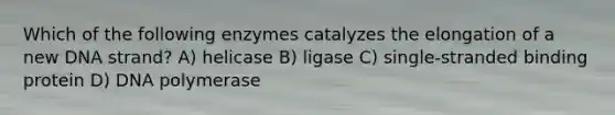 Which of the following enzymes catalyzes the elongation of a new DNA strand? A) helicase B) ligase C) single-stranded binding protein D) DNA polymerase