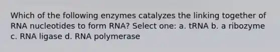 Which of the following enzymes catalyzes the linking together of RNA nucleotides to form RNA? Select one: a. tRNA b. a ribozyme c. RNA ligase d. RNA polymerase