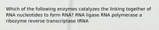 Which of the following enzymes catalyzes the linking together of RNA nucleotides to form RNA? RNA ligase RNA polymerase a ribozyme reverse transcriptase tRNA