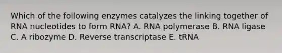 Which of the following enzymes catalyzes the linking together of RNA nucleotides to form RNA? A. RNA polymerase B. RNA ligase C. A ribozyme D. Reverse transcriptase E. tRNA