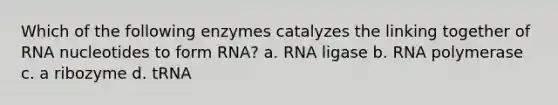 Which of the following enzymes catalyzes the linking together of RNA nucleotides to form RNA? a. RNA ligase b. RNA polymerase c. a ribozyme d. tRNA