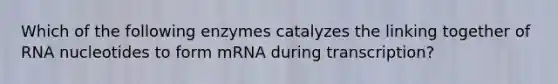 Which of the following enzymes catalyzes the linking together of RNA nucleotides to form mRNA during transcription?