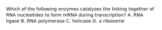 Which of the following enzymes catalyzes the linking together of RNA nucleotides to form mRNA during transcription? A. RNA ligase B. RNA polymerase C. helicase D. a ribosome