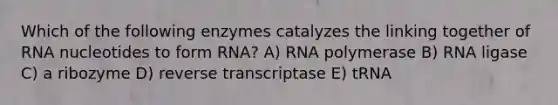 Which of the following enzymes catalyzes the linking together of RNA nucleotides to form RNA? A) RNA polymerase B) RNA ligase C) a ribozyme D) reverse transcriptase E) tRNA