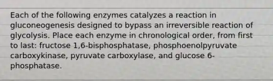 Each of the following enzymes catalyzes a reaction in gluconeogenesis designed to bypass an irreversible reaction of glycolysis. Place each enzyme in chronological order, from first to last: fructose 1,6-bisphosphatase, phosphoenolpyruvate carboxykinase, pyruvate carboxylase, and glucose 6-phosphatase.