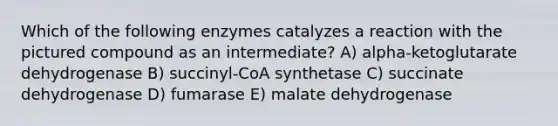 Which of the following enzymes catalyzes a reaction with the pictured compound as an intermediate? A) alpha-ketoglutarate dehydrogenase B) succinyl-CoA synthetase C) succinate dehydrogenase D) fumarase E) malate dehydrogenase