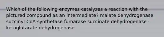 Which of the following enzymes catalyzes a reaction with the pictured compound as an intermediate? malate dehydrogenase succinyl-CoA synthetase fumarase succinate dehydrogenase -ketoglutarate dehydrogenase