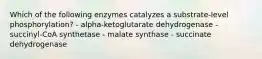 Which of the following enzymes catalyzes a substrate-level phosphorylation? - alpha-ketoglutarate dehydrogenase - succinyl-CoA synthetase - malate synthase - succinate dehydrogenase