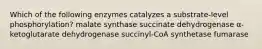 Which of the following enzymes catalyzes a substrate-level phosphorylation? malate synthase succinate dehydrogenase α-ketoglutarate dehydrogenase succinyl-CoA synthetase fumarase