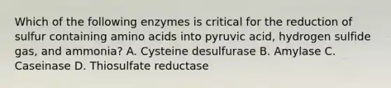 Which of the following enzymes is critical for the reduction of sulfur containing <a href='https://www.questionai.com/knowledge/k9gb720LCl-amino-acids' class='anchor-knowledge'>amino acids</a> into pyruvic acid, hydrogen sulfide gas, and ammonia? A. Cysteine desulfurase B. Amylase C. Caseinase D. Thiosulfate reductase