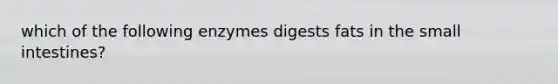 which of the following enzymes digests fats in the small intestines?