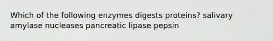 Which of the following enzymes digests proteins? salivary amylase nucleases pancreatic lipase pepsin