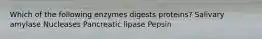 Which of the following enzymes digests proteins? Salivary amylase Nucleases Pancreatic lipase Pepsin