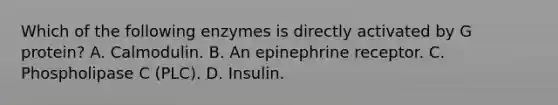 Which of the following enzymes is directly activated by G protein? A. Calmodulin. B. An epinephrine receptor. C. Phospholipase C (PLC). D. Insulin.