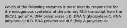 Which of the following enzymes is most directly responsible for the endogenous syntehsis of the primary RNA transcript from the BRCA1 gene? A. DNA polymerase α B. DNA N-glycosylase C. RNA polymerase II D. RNA polymerase III E. Poly A polymerase