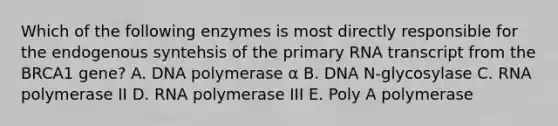 Which of the following enzymes is most directly responsible for the endogenous syntehsis of the primary RNA transcript from the BRCA1 gene? A. DNA polymerase α B. DNA N-glycosylase C. RNA polymerase II D. RNA polymerase III E. Poly A polymerase