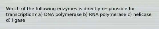 Which of the following enzymes is directly responsible for transcription? a) DNA polymerase b) RNA polymerase c) helicase d) ligase