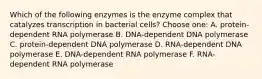 Which of the following enzymes is the enzyme complex that catalyzes transcription in bacterial cells? Choose one: A. protein-dependent RNA polymerase B. DNA-dependent DNA polymerase C. protein-dependent DNA polymerase D. RNA-dependent DNA polymerase E. DNA-dependent RNA polymerase F. RNA-dependent RNA polymerase