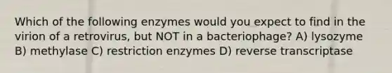 Which of the following enzymes would you expect to find in the virion of a retrovirus, but NOT in a bacteriophage? A) lysozyme B) methylase C) restriction enzymes D) reverse transcriptase