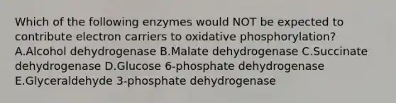 Which of the following enzymes would NOT be expected to contribute electron carriers to oxidative phosphorylation? A.Alcohol dehydrogenase B.Malate dehydrogenase C.Succinate dehydrogenase D.Glucose 6-phosphate dehydrogenase E.Glyceraldehyde 3-phosphate dehydrogenase