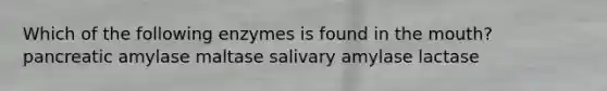 Which of the following enzymes is found in <a href='https://www.questionai.com/knowledge/krBoWYDU6j-the-mouth' class='anchor-knowledge'>the mouth</a>? pancreatic amylase maltase salivary amylase lactase