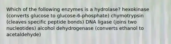 Which of the following enzymes is a hydrolase? hexokinase (converts glucose to glucose-6-phosphate) chymotrypsin (cleaves specific peptide bonds) DNA ligase (joins two nucleotides) alcohol dehydrogenase (converts ethanol to acetaldehyde)