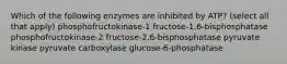 Which of the following enzymes are inhibited by ATP? (select all that apply) phosphofructokinase-1 fructose-1,6-bisphosphatase phosphofructokinase-2 fructose-2,6-bisphosphatase pyruvate kinase pyruvate carboxylase glucose-6-phosphatase