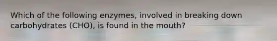 Which of the following enzymes, involved in breaking down carbohydrates (CHO), is found in the mouth?
