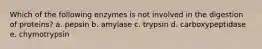 Which of the following enzymes is not involved in the digestion of proteins? a. pepsin b. amylase c. trypsin d. carboxypeptidase e. chymotrypsin