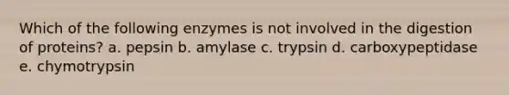 Which of the following enzymes is not involved in the digestion of proteins? a. pepsin b. amylase c. trypsin d. carboxypeptidase e. chymotrypsin