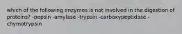 which of the following enzymes is not involved in the digestion of proteins? -pepsin -amylase -trypsin -carboxypeptidase -chymotrypsin