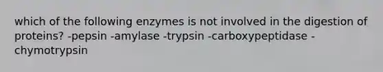 which of the following enzymes is not involved in the digestion of proteins? -pepsin -amylase -trypsin -carboxypeptidase -chymotrypsin