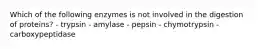 Which of the following enzymes is not involved in the digestion of proteins? - trypsin - amylase - pepsin - chymotrypsin - carboxypeptidase