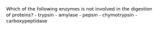 Which of the following enzymes is not involved in the digestion of proteins? - trypsin - amylase - pepsin - chymotrypsin - carboxypeptidase