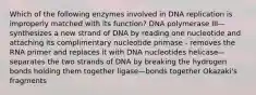 Which of the following enzymes involved in DNA replication is improperly matched with its function? DNA polymerase III—synthesizes a new strand of DNA by reading one nucleotide and attaching its complimentary nucleotide primase - removes the RNA primer and replaces it with DNA nucleotides helicase—separates the two strands of DNA by breaking the hydrogen bonds holding them together ligase—bonds together Okazaki's fragments