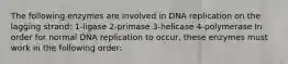 The following enzymes are involved in DNA replication on the lagging strand: 1-ligase 2-primase 3-helicase 4-polymerase In order for normal DNA replication to occur, these enzymes must work in the following order: