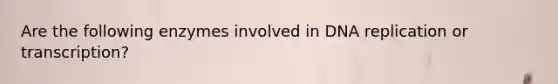 Are the following enzymes involved in DNA replication or transcription?